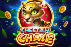 Cheetah Chase Cheetah Chase