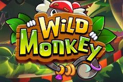 Wild Monkey