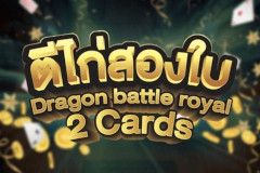 Dragon Battle Royal 2 Cards