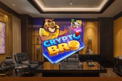 Crypto Bro