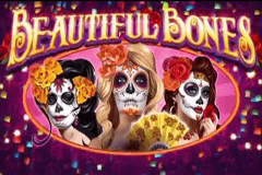Beautiful Bones