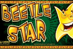 Beetle Star