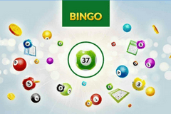 Bingo 37 Ticket