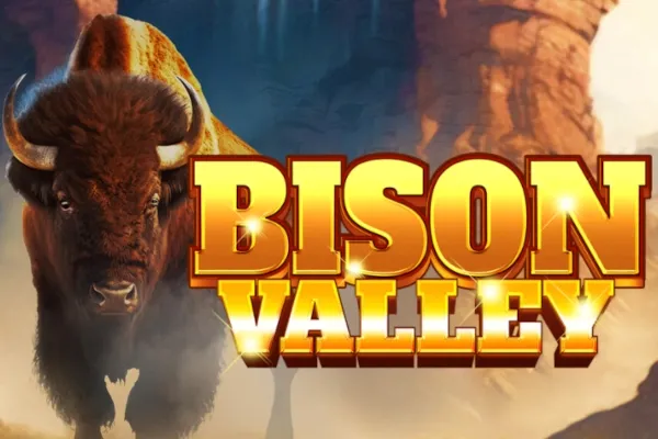 Bison Casino Vizuális Környezet