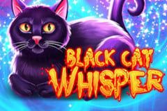 Black Cat Whisper