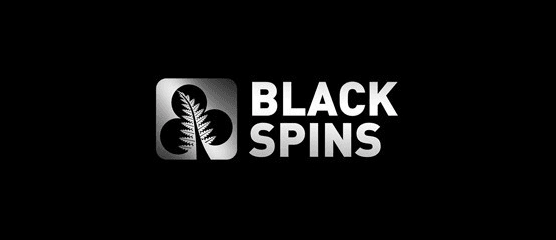 Black Spins Casino