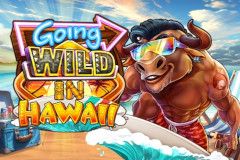 Going Wild in Hawaii