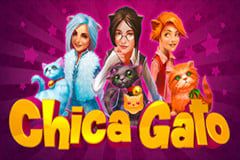 Chica Gato