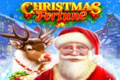 Christmas Fortune