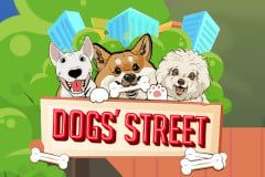 Dog Street Dog Street