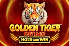 Golden Tiger Fortunes™