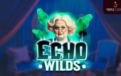 Echo Wilds Echo Wilds