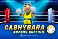 Cashybara Boxing Edition