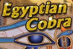 Egyptian Cobra