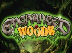 Enchanted Woods