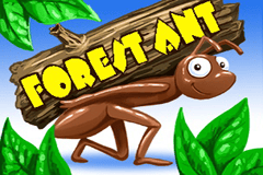 Forest Ant