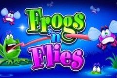 Frogs 'n Flies