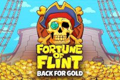 Fortune of Flint: Back for Gold