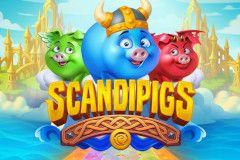 Scandipigs