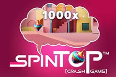 Spin Top