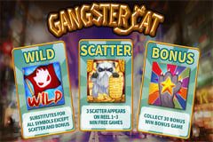 Gangster Cat