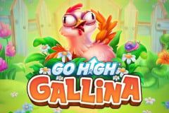 Go High Gallina Go High Gallina