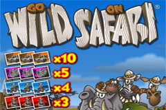 Go Wild on Safari