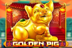 Golden Pig