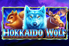 Hokkaido Wolf