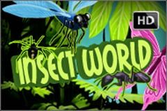 Insect World
