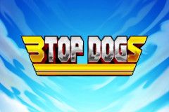 3 Top Dogs