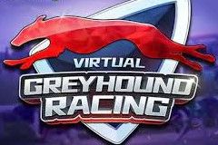 KM Virtual Greyhound Racing