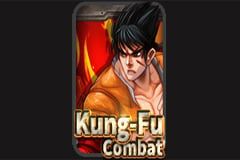 Kung Fu Combat