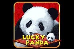 Lucky Panda