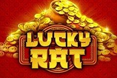 Lucky Rat