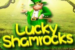 Lucky Shamrocks