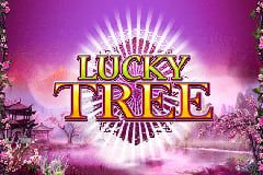 Lucky Tree Lucky Tree