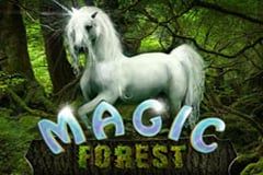 Magic Forest