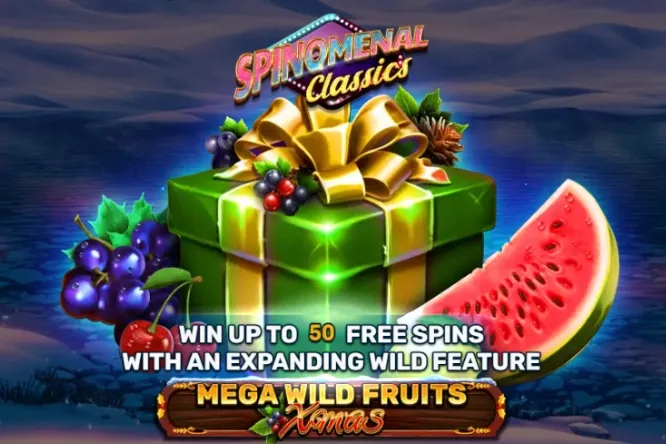 Mega Wild Fruits - Xmas Mega Wild Fruits - Xmas