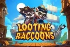 Looting Raccoons