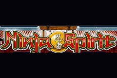 Ninja Spirit