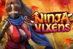 Ninja Vixens