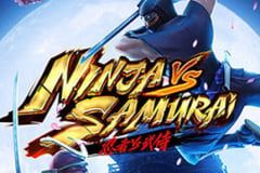 Ninja vs Samurai