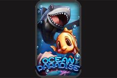 Ocean Paradise