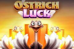 Ostrich Luck