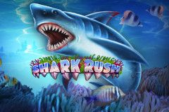 Shark Rush
