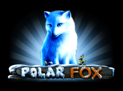 Polar Fox