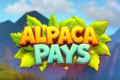 PopOK Gaming