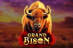 Grand Bison