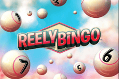 Reely Bingo